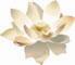 What is Ananda?