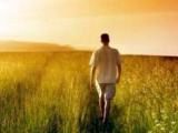 The Ananda Movies